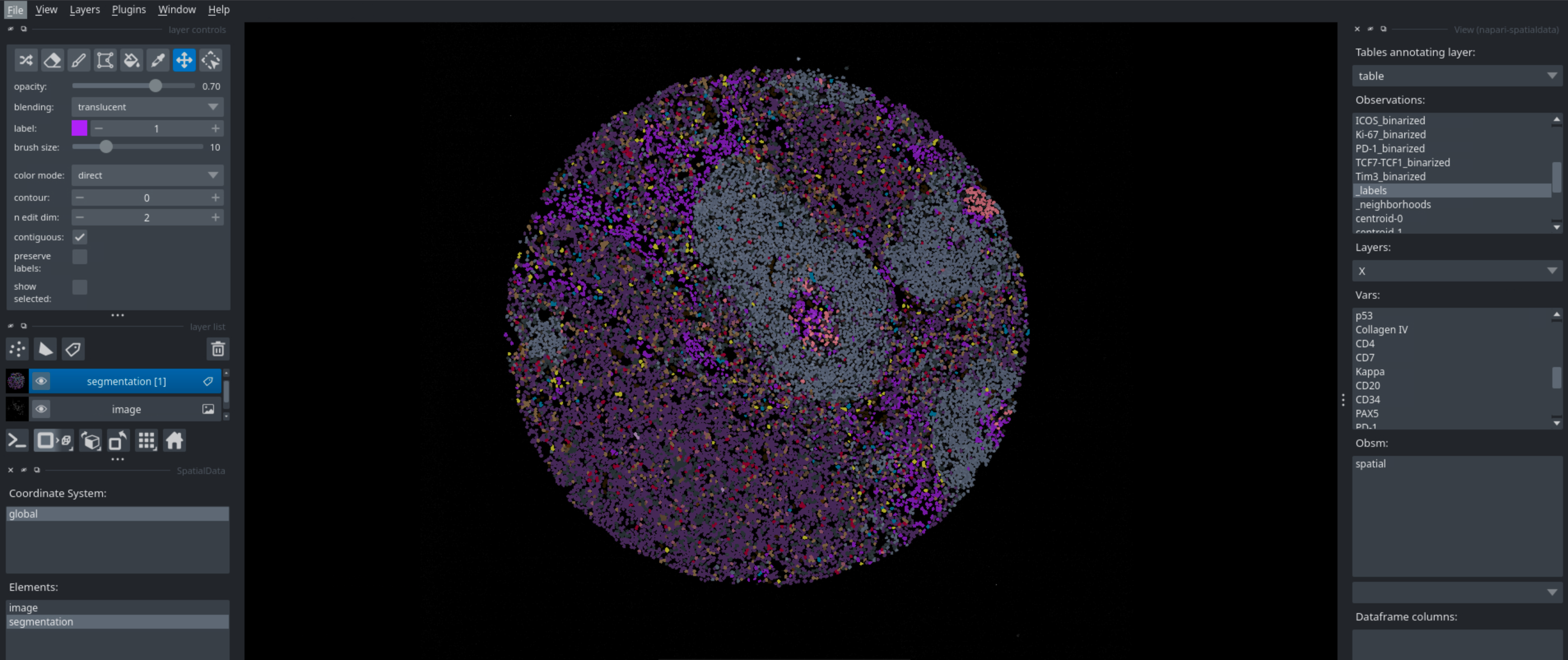 Visualization of a cell type labels with napari