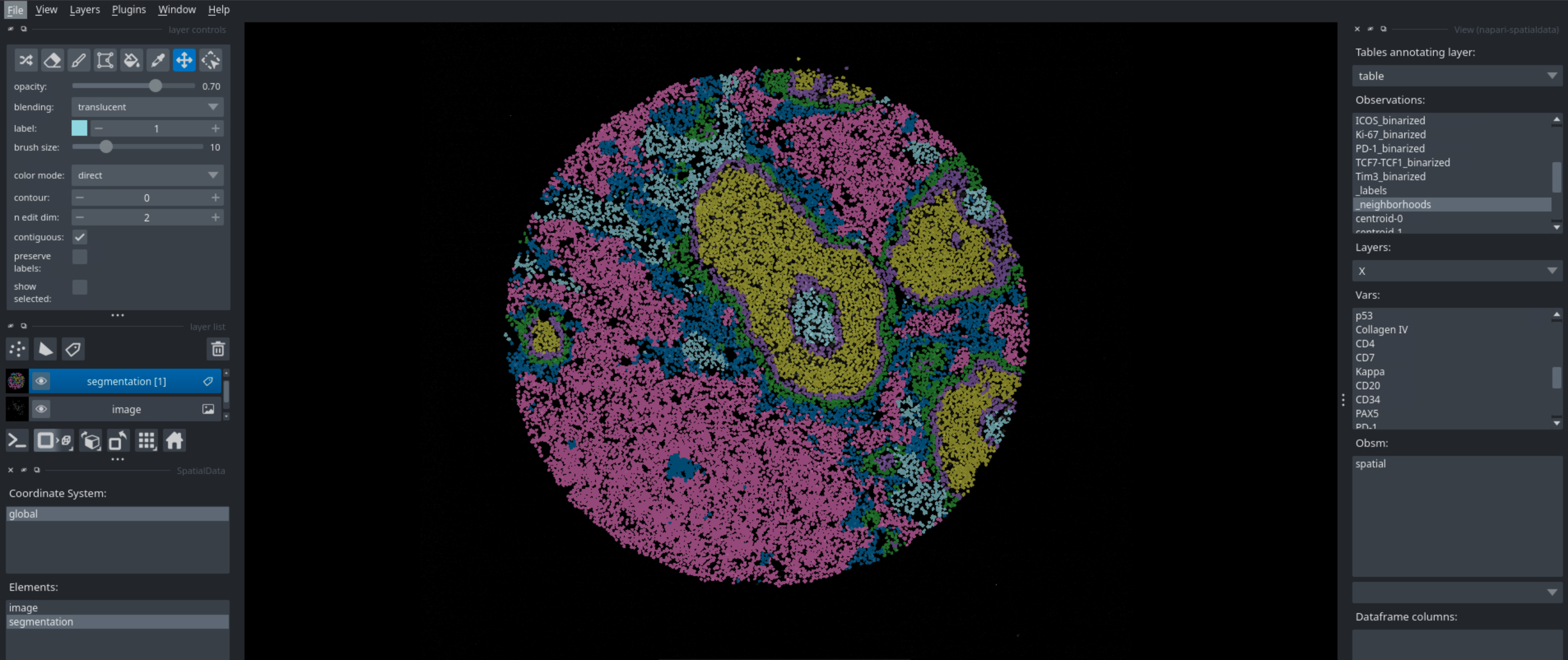 Visualization of neighborhoods with napari