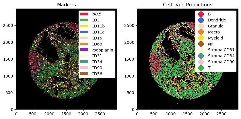 ../_images/notebooks_CellTypePrediction_10_1.png