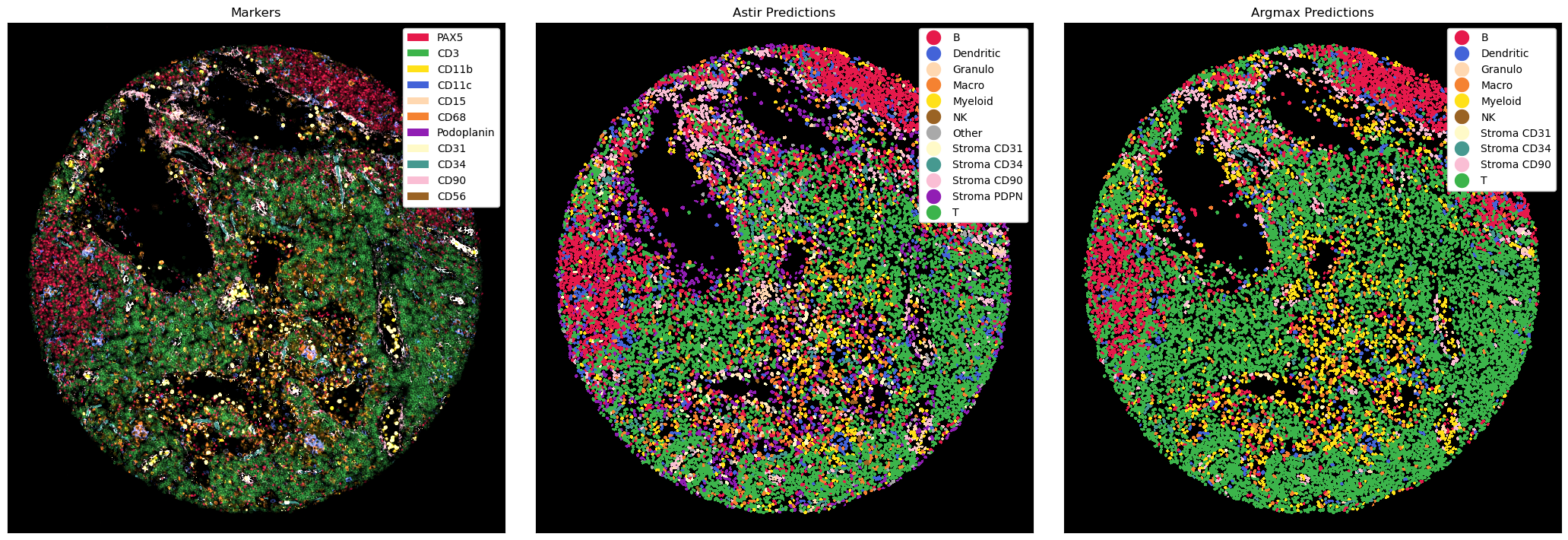 ../_images/notebooks_CellTypePrediction_21_0.png