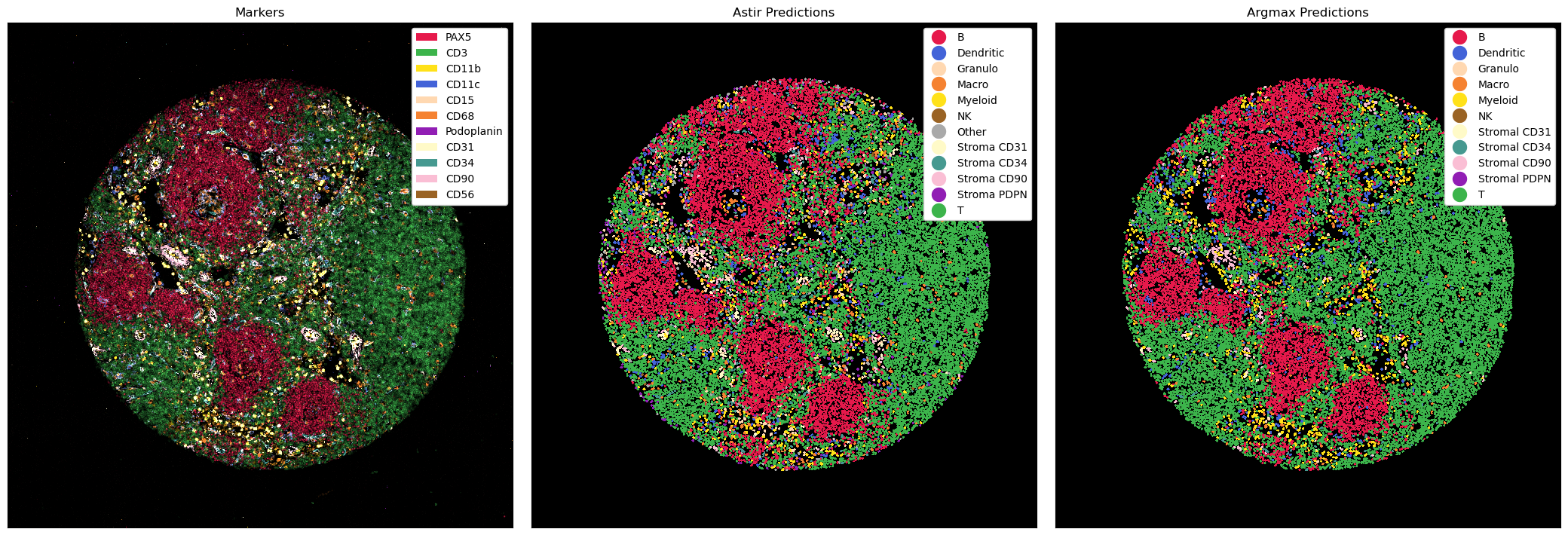 ../_images/notebooks_CellTypePrediction_23_0.png