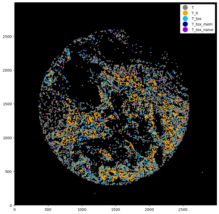 ../_images/notebooks_CellTypePrediction_32_0.png