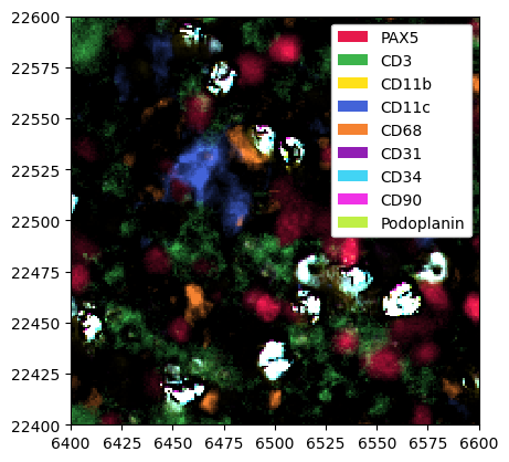 ../_images/notebooks_CellTypePrediction_39_0.png